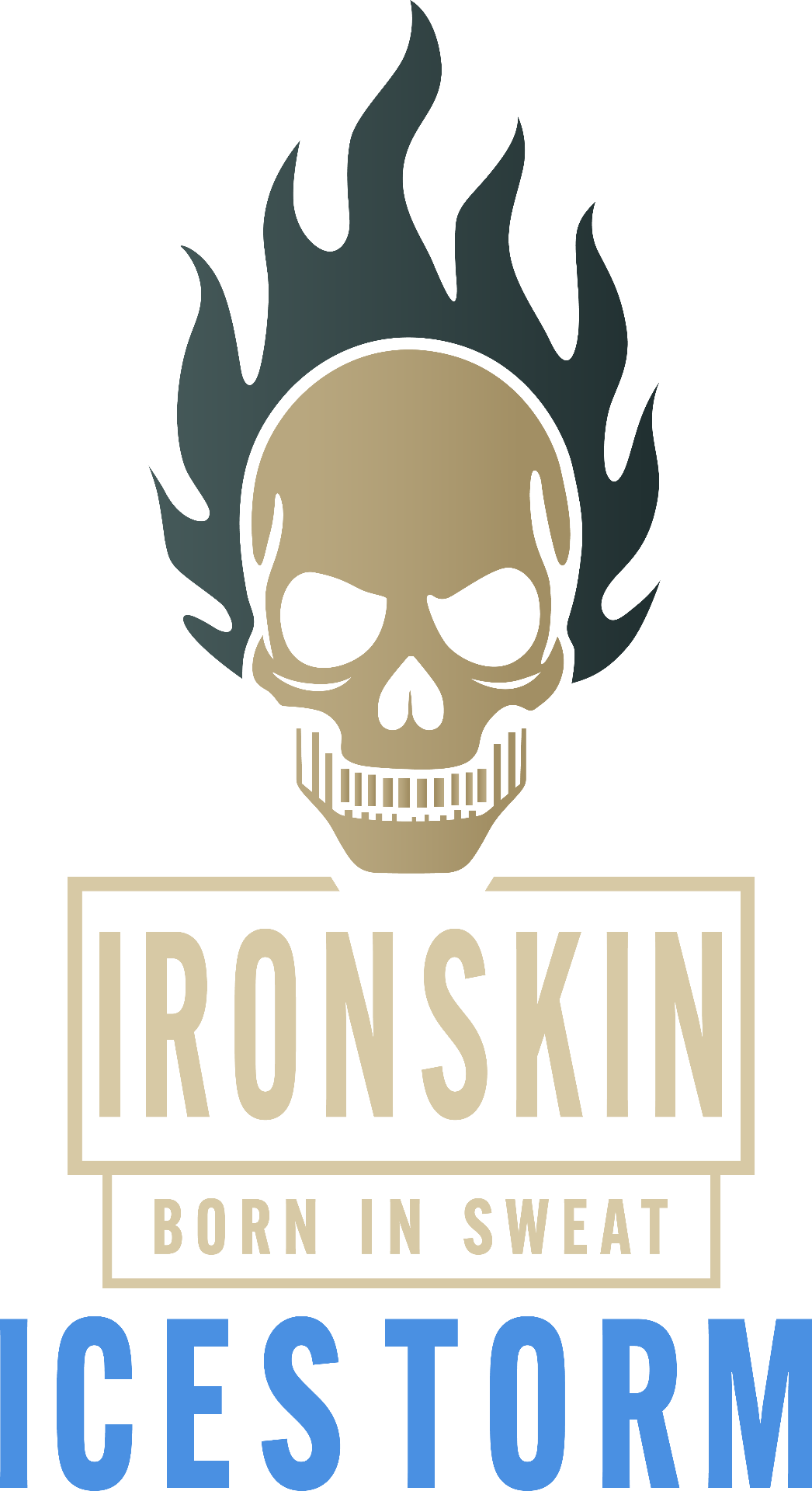 ICESTORM Produktverpackung